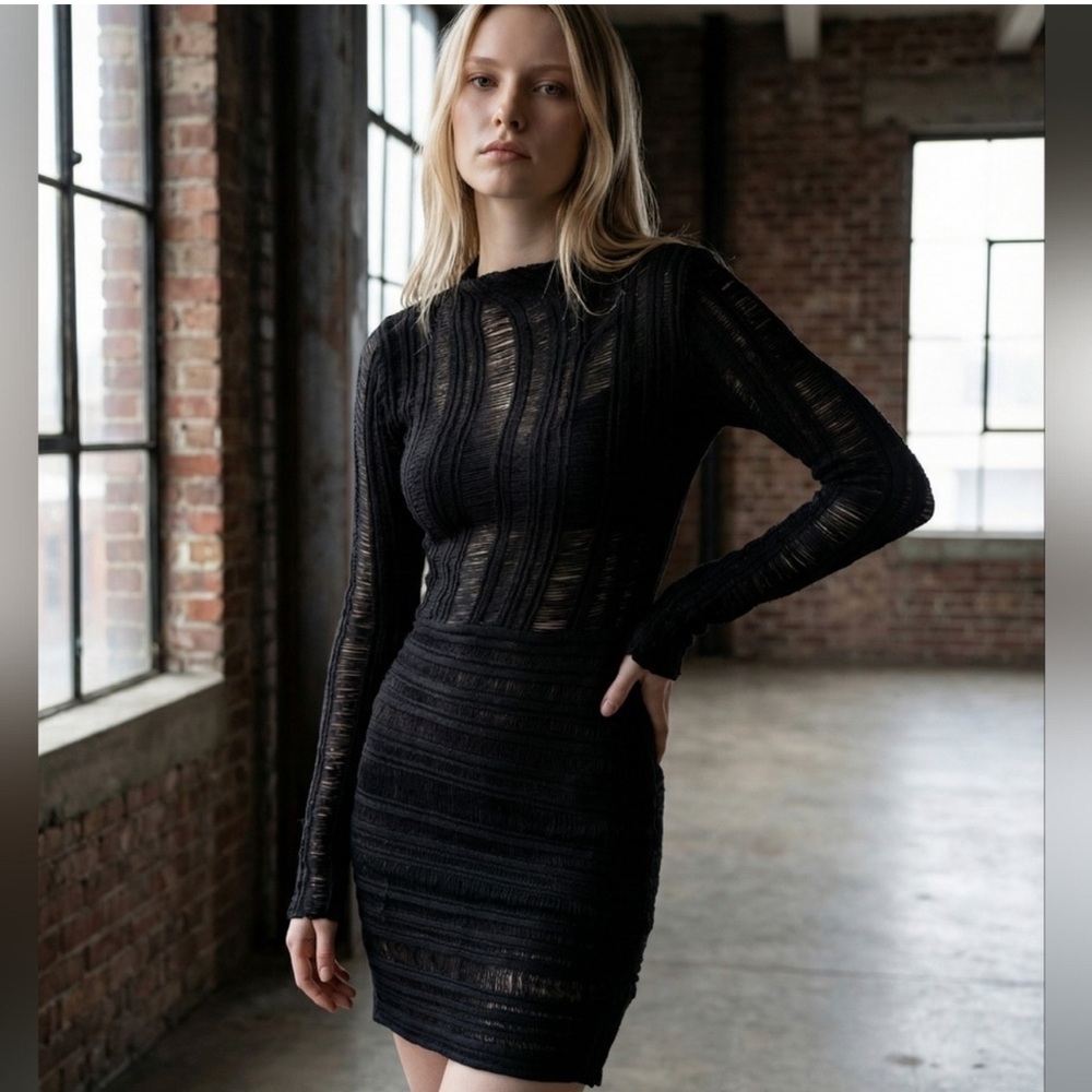 NWT Sheer Knit Little Black Dress